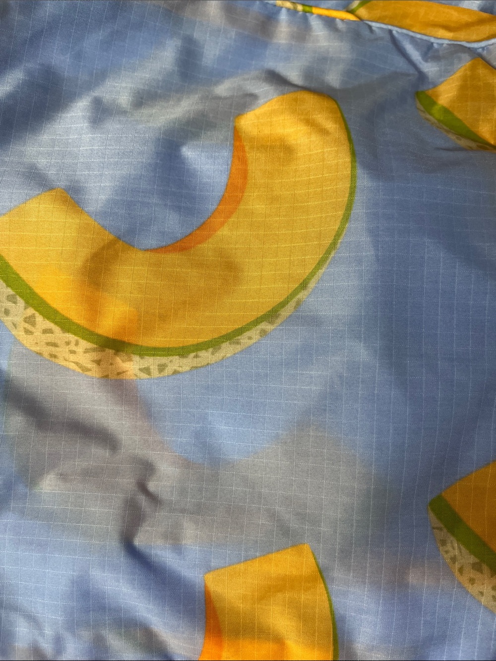 BAGGU 2 10x13 Japanese produce Packing Cubes new - Picture 4 of 6